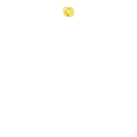 Loading